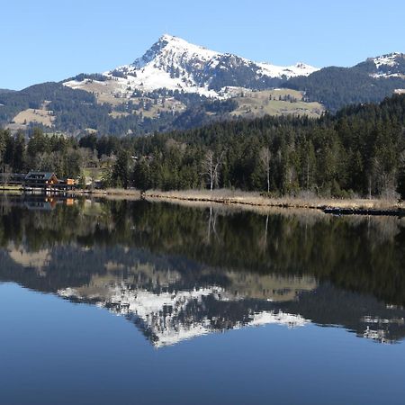Grillinghof Villa Kirchberg in Tirol Dış mekan fotoğraf